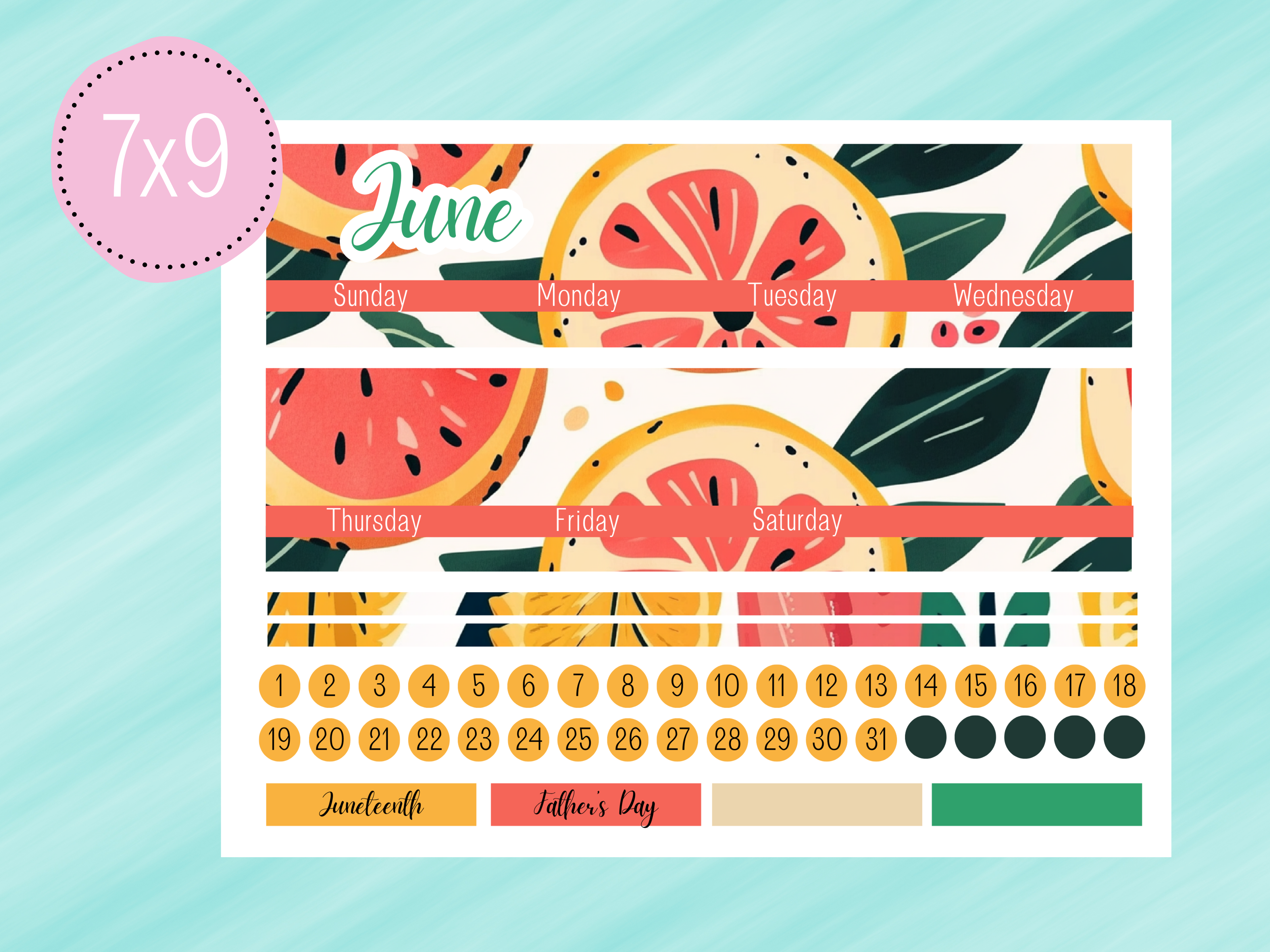 June Sticker #2 - Complete Paycheck Budget Kit