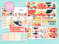 June Sticker #2 - Monthly Basics Kit