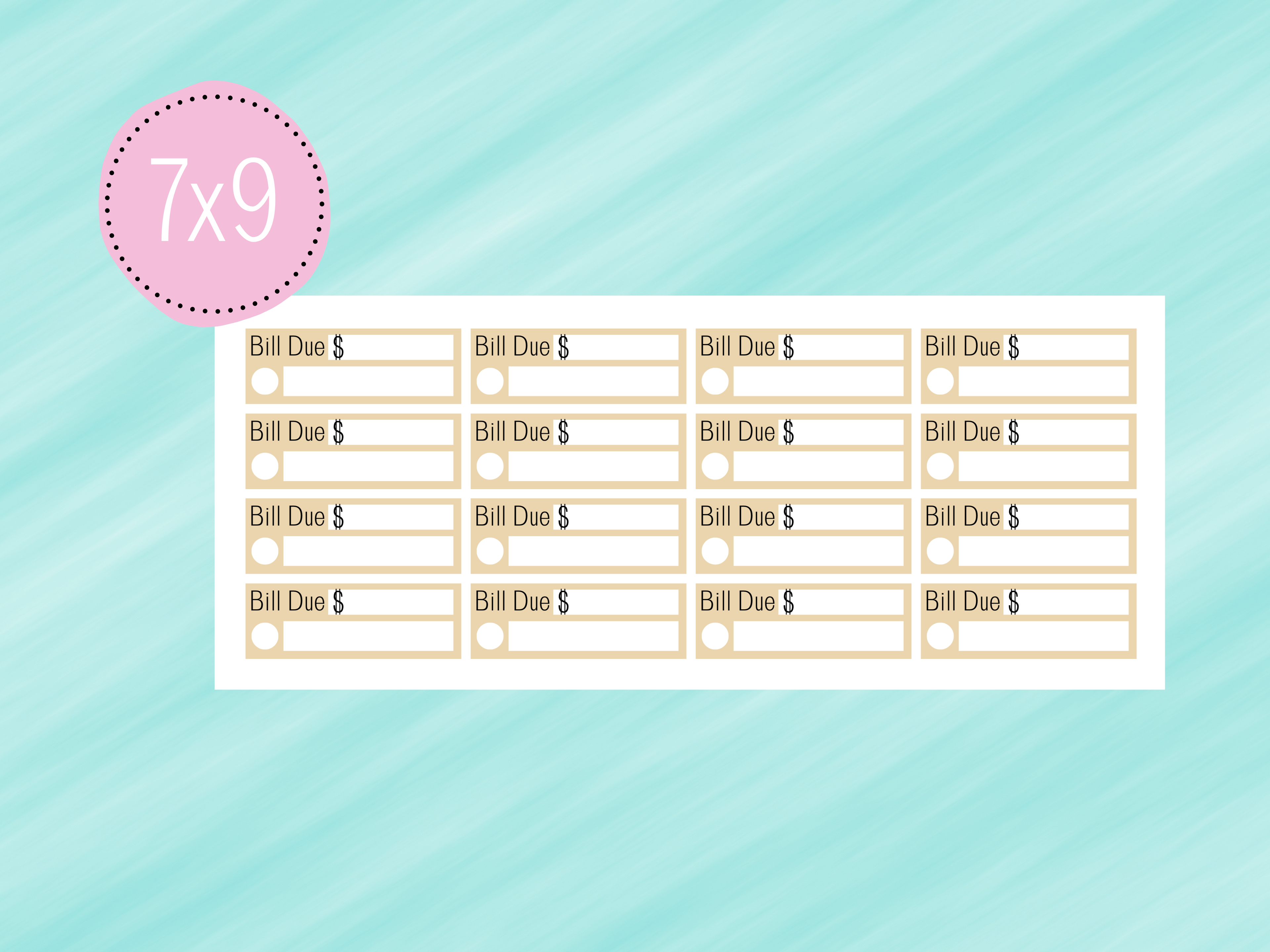 June Sticker #2 - Complete Monthly Budget Kit