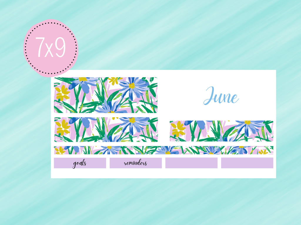 June Sticker #1 - Paycheck Budget Kit