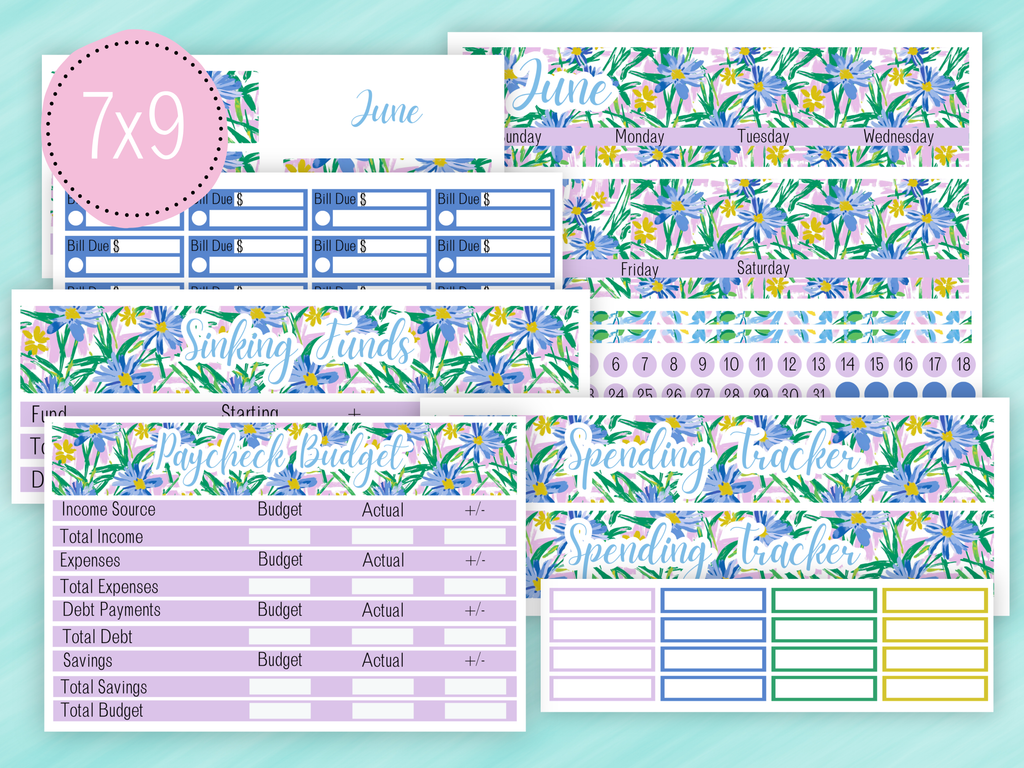 June Sticker #1 - Paycheck Budget Kit