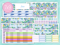 June Sticker #1 - Complete Monthly Budget Kit
