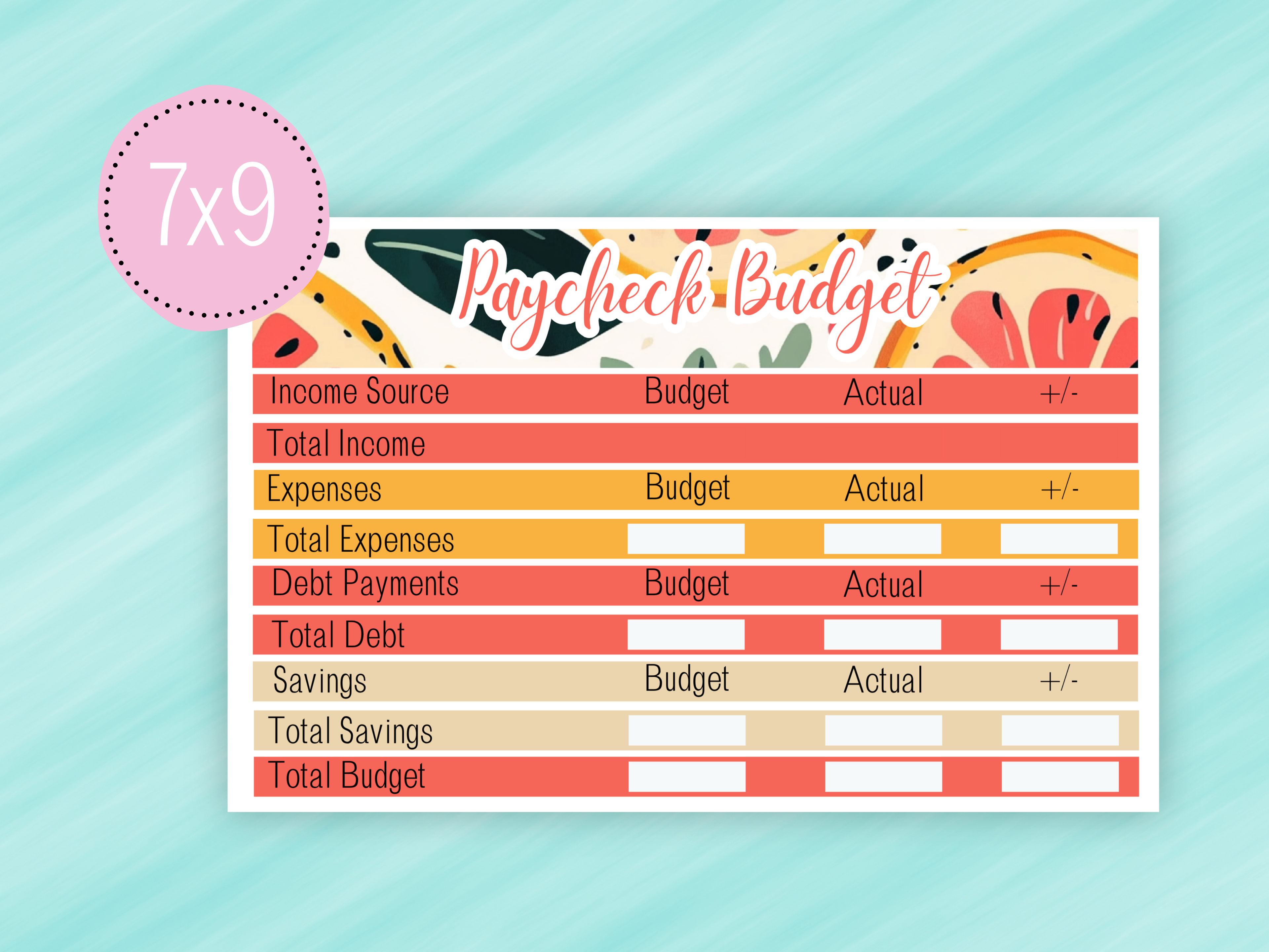June Sticker #2 - Complete Paycheck Budget Kit