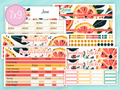 June Sticker #2 - Paycheck Budget Kit
