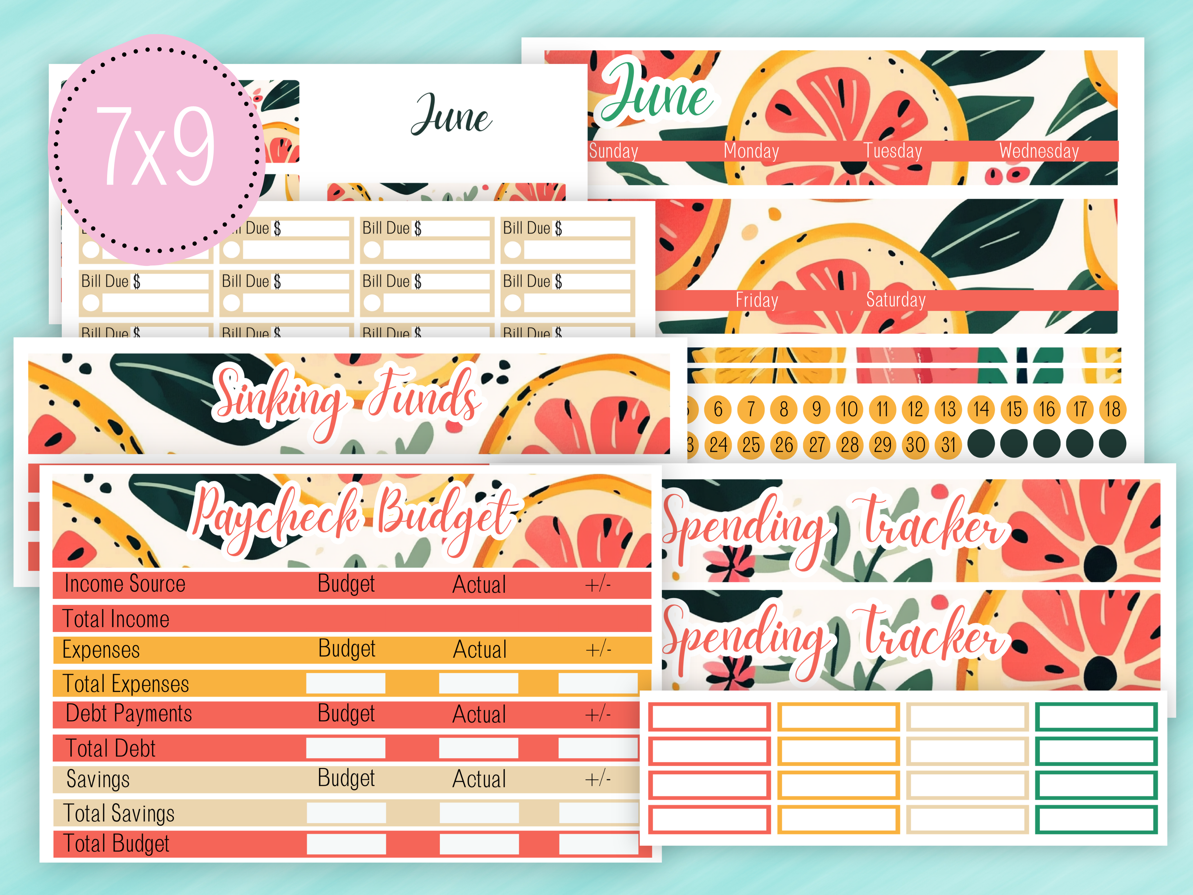 June Sticker #2 - Paycheck Budget Kit