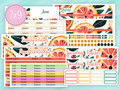 June Sticker #2 - Complete Paycheck Budget Kit
