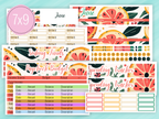 June Sticker #2 - Complete Paycheck Budget Kit