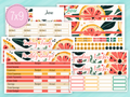 June Sticker #2 - Monthly Budget Kit