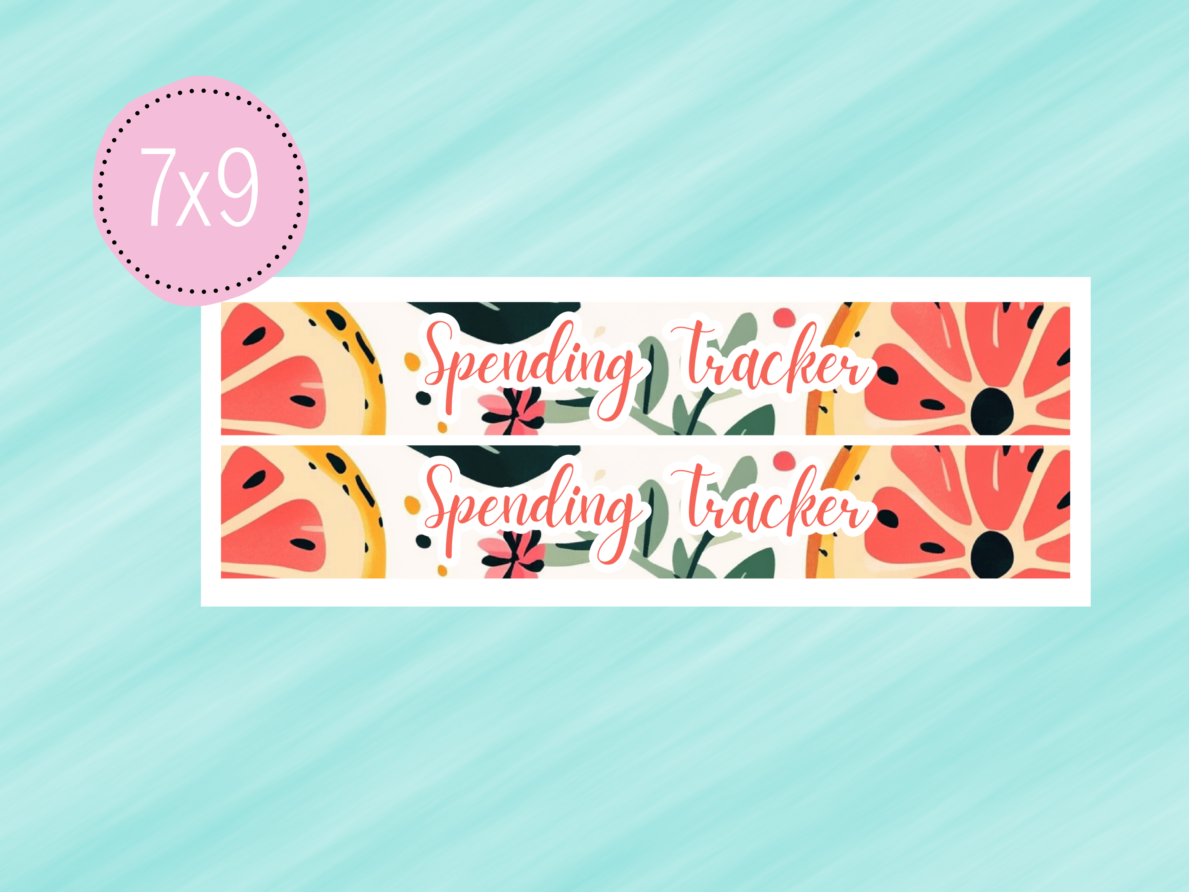 June Sticker #2 - Complete Paycheck Budget Kit