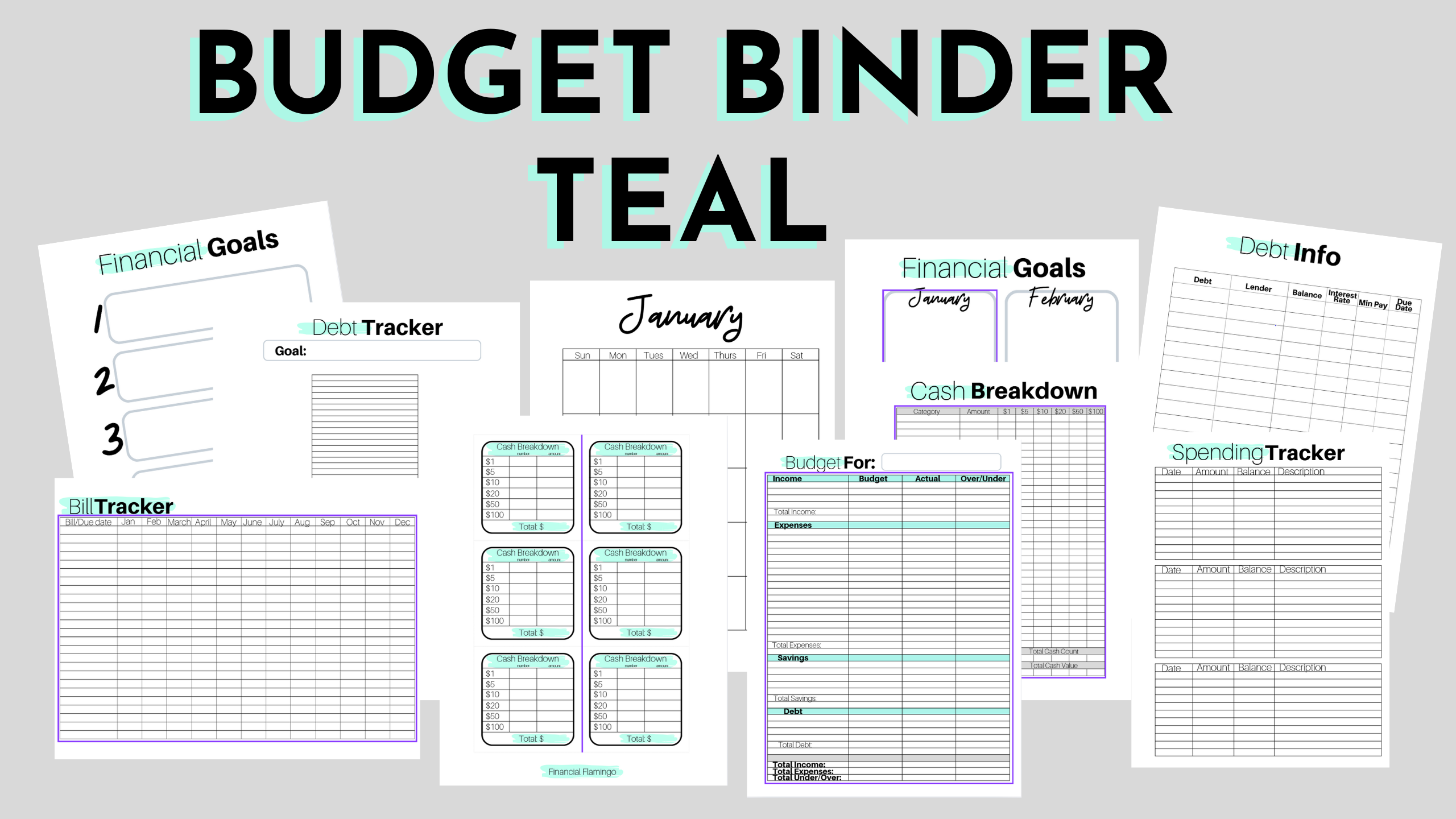 The Complete Budget Binder TEAL